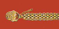 bg 33