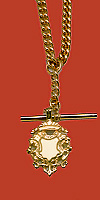 9 ct Necklace nf 36