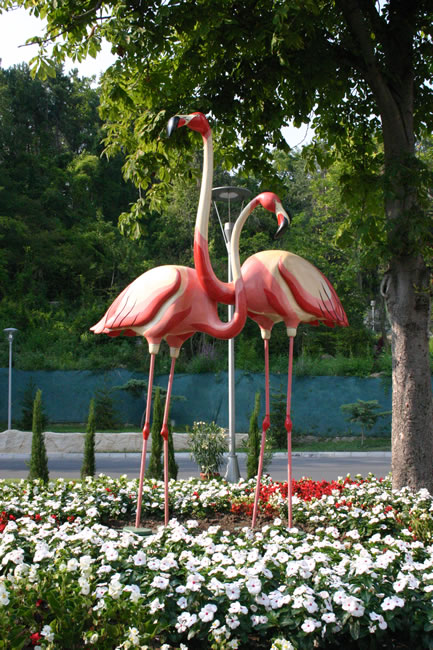 Flamingo